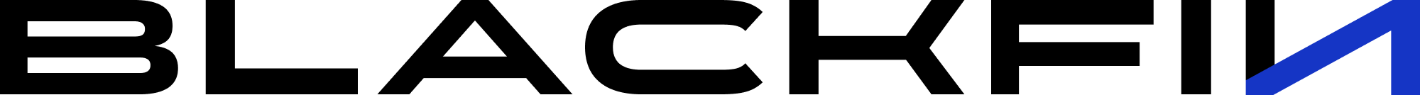 BlackFin Partners Group